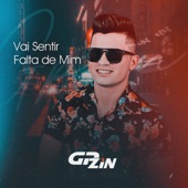 Vai Sentir Falta de Mim artwork