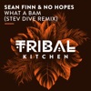 No Hopes - What a Bam (Stev Dive Radio Edit)