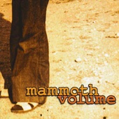 Mammoth Volume - Seagull