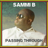 Passing Through - Sammi B