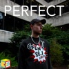 Perfect - Single