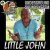 Bud Up (feat. Little John) [Dubplate] - Single album lyrics, reviews, download