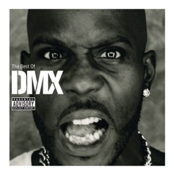 THE BEST OF DMX cover art