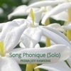 Song Phonique (Solo) - Single