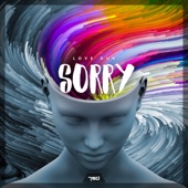 Sorry artwork