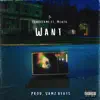 Want (feat. Mehz K) - Single album lyrics, reviews, download