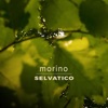 Selvatico - Single