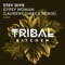 Stev Dive, Laurent Simeca - Gypsy Woman - Laurent Simeca Remix