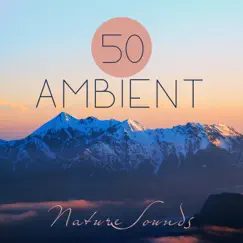50 Ambient Nature Sounds: Best Relaxing Spa Music, Hypnotic Ocean Waves for Meditation, Calm Sounds of Rain for Sleep, Healing New Age and Singing Birds to Reduce Stress by Abundant Nature Zen, Serenity Stream & Tranquility Spa Center album reviews, ratings, credits