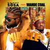 Miracle (feat. Wande Coal) - Single album lyrics, reviews, download