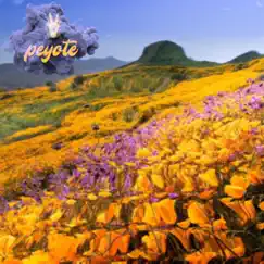 Peyote - Single by Sum album reviews, ratings, credits