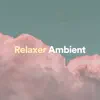 Relaxer Ambient album lyrics, reviews, download