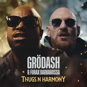 Thugs N Harmony (feat. Furax Barbarossa) artwork