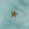 Starfish song lyrics