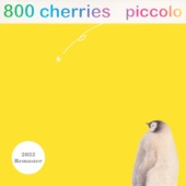 800 Cherries - dandelion(Remastered)