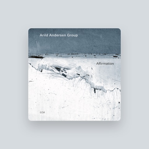 ARILD ANDERSEN GROUP