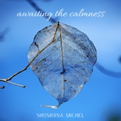 Awaiting the Calmness artwork