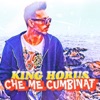 Che me Cumbinat - Single