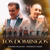 Los Domingos (La Peineta) - Single