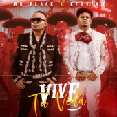 Vive Tu Vida (feat. Keyvin Ce) artwork