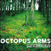 Octopus Arms - Jupiter Echoes
