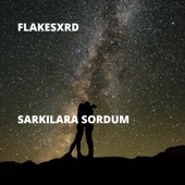 Sarkilara Sordum artwork