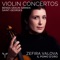 Violin Concerto in D Major: I. Allegro maestoso artwork