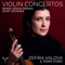 Violin Concerto in C Minor, GraunWV Av:XII:18: I. Allegretto artwork