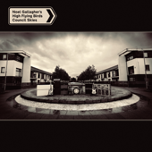 Council Skies  cover