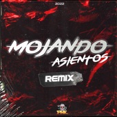 Mojando Asientos (Remix) artwork