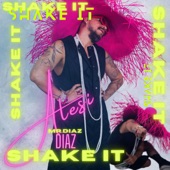 Shake It artwork
