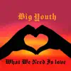What We Need Is love - Single album lyrics, reviews, download