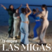 La Desgana (feat. Sheila Quero & Esther González) artwork