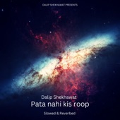 Pata Nahi Kis Roop (Slowed & Reverbed) artwork