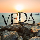 Veda artwork