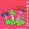 God SEED - Single album lyrics, reviews, download