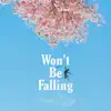 Won't Be Falling - Single album lyrics, reviews, download