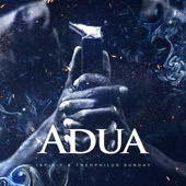 Adua artwork