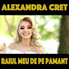 Raiul meu de pe pamant - Single