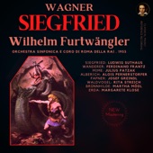 Wagner: Siegfried by Wilhelm Furtwängler artwork