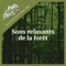 Bird Nests - International New Age lyrics