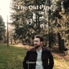 The Old Pine