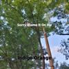 Sorry Blame It On Me - Indigo Orange