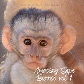 Amazing Sape Borneo, Vol. 1 artwork