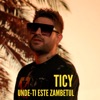 Unde-ti este zambetul - Single