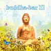 Buddha Bar XI album lyrics, reviews, download