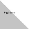 Big Sports - Single album lyrics, reviews, download