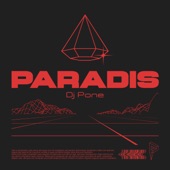 Paradis (feat. Disiz) artwork
