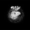 TKR - Strobba & R2 lyrics
