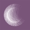 In the Wind (Moshimoss Rework) - Single